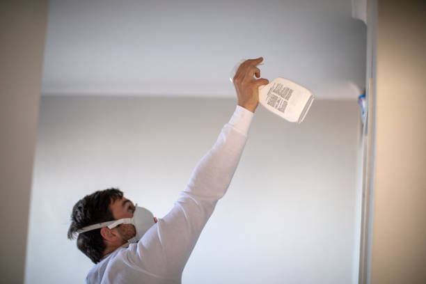 Best Post-Remediation Services in Narrows, VA