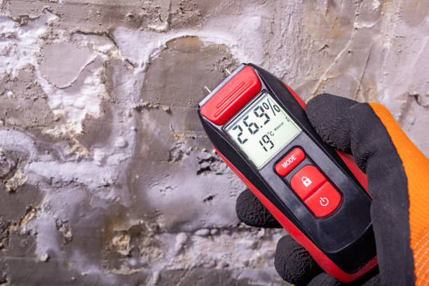 Best Industrial Mold Remediation in Narrows, VA