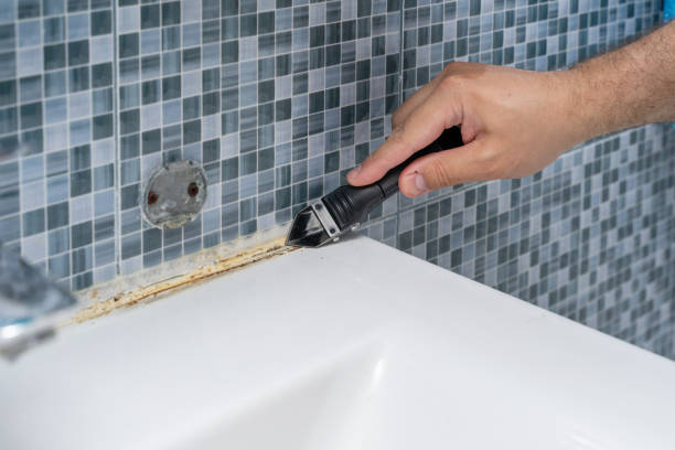 Best Basement Mold Remediation in Narrows, VA